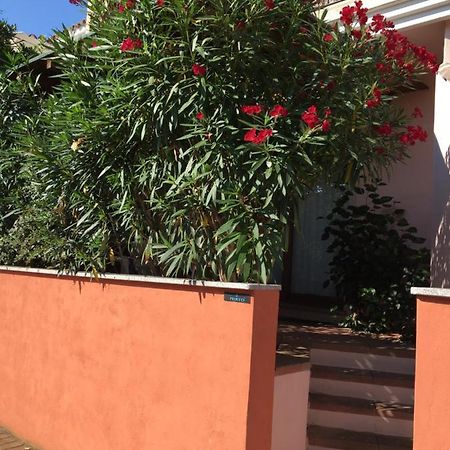 Ferienwohnung Borgo Saraceno Mirto 5 San Pasquale Exterior foto